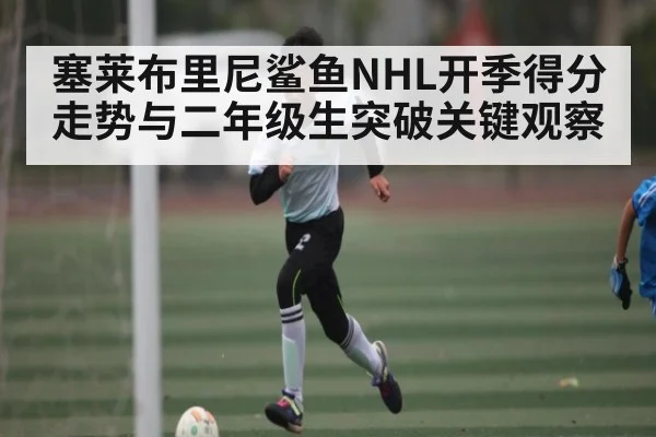 塞莱布里尼鲨鱼NHL开季得分走势与二年级生突破关键观察